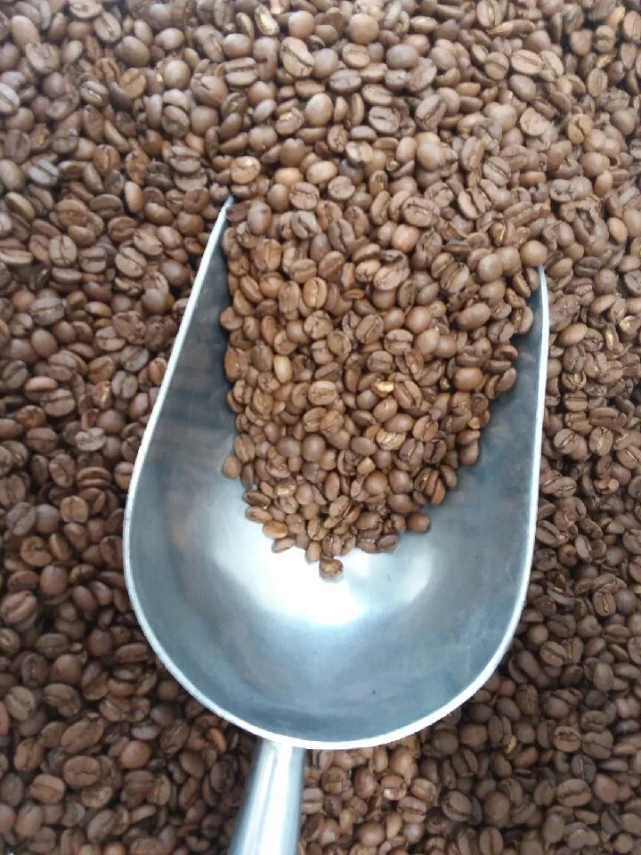 Crimson Anchor Coffee Roasters in Indianola